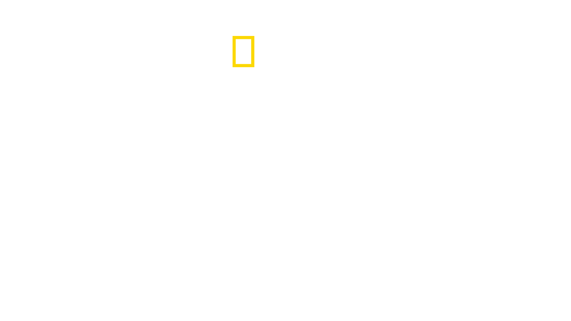 Growing Up Animal