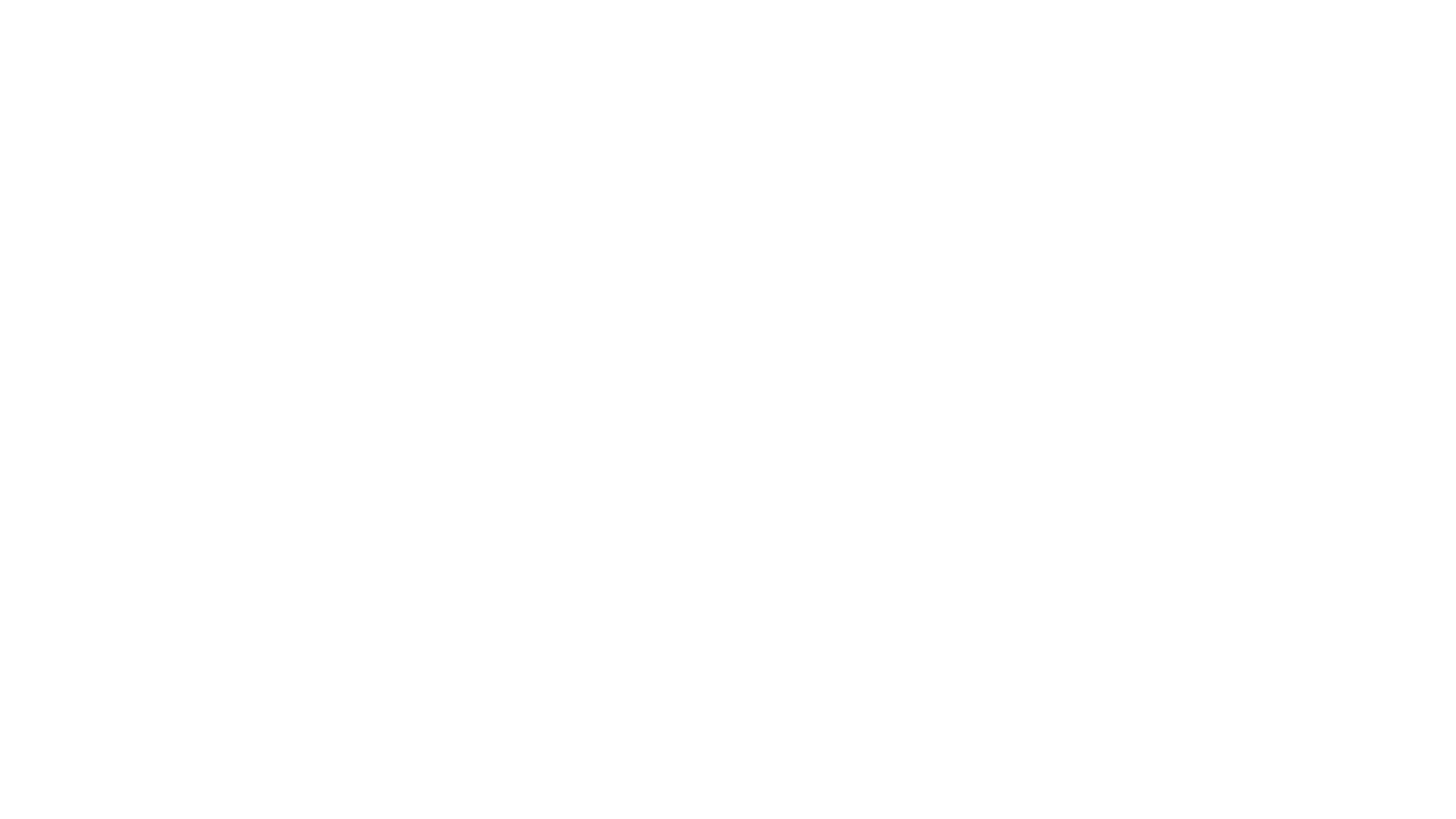 The Mandalorian