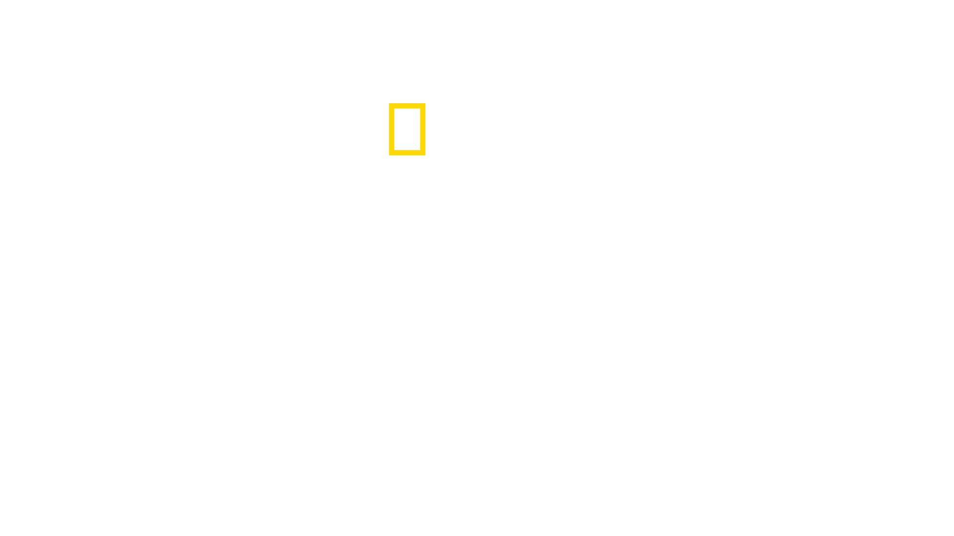 Arctic Ascent with Alex Honnold