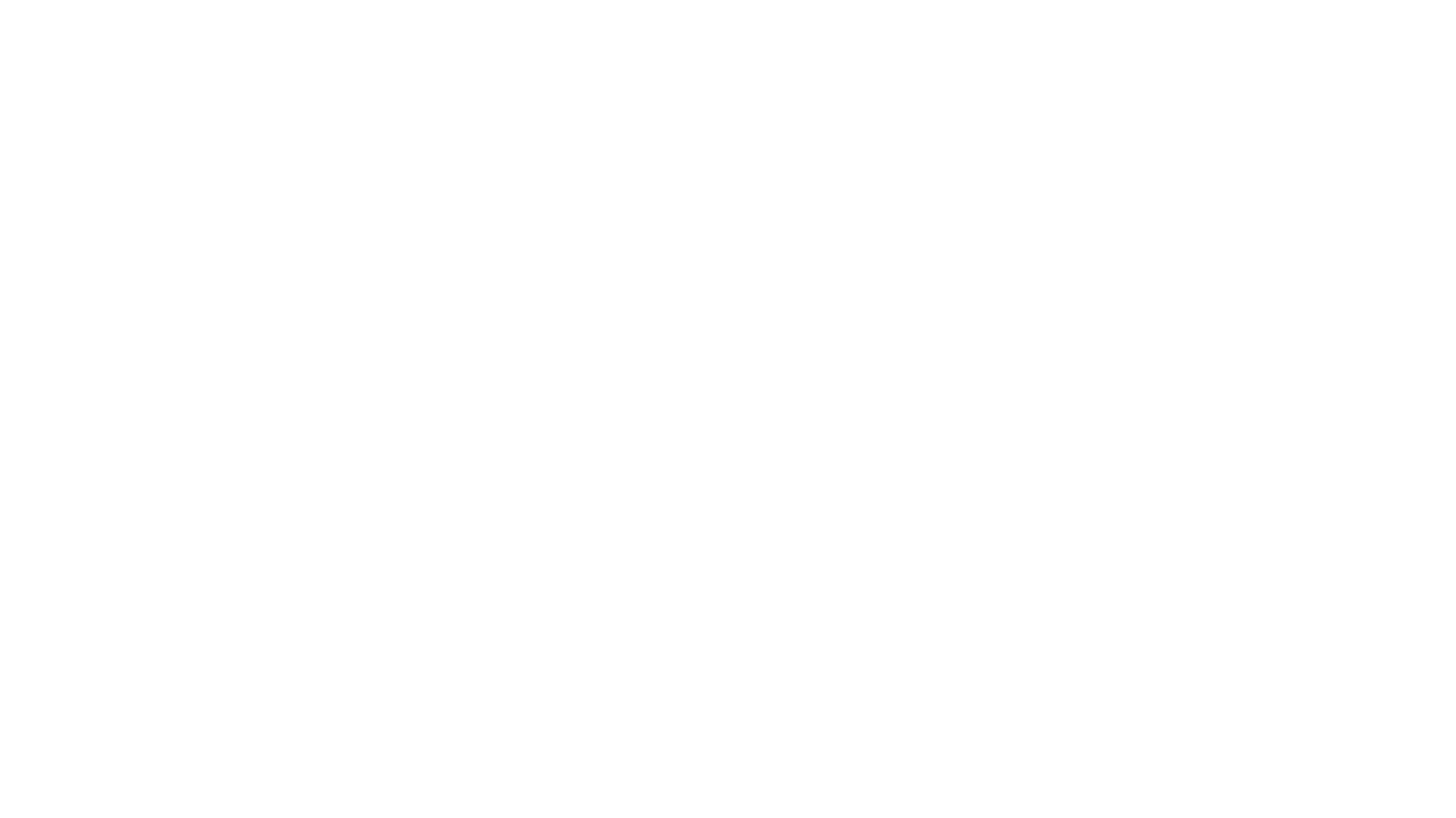 The Captain