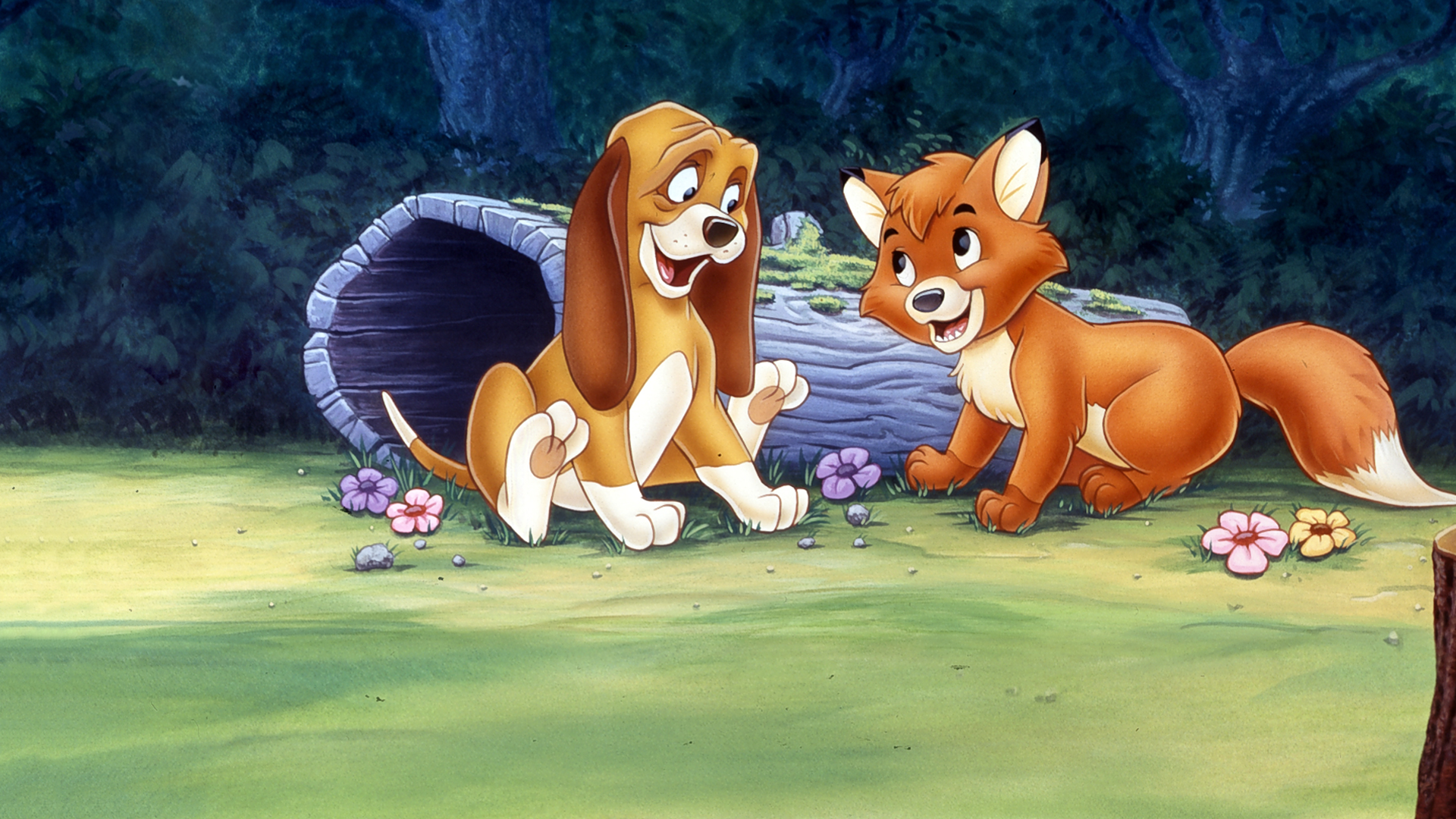 The Fox and the Hound