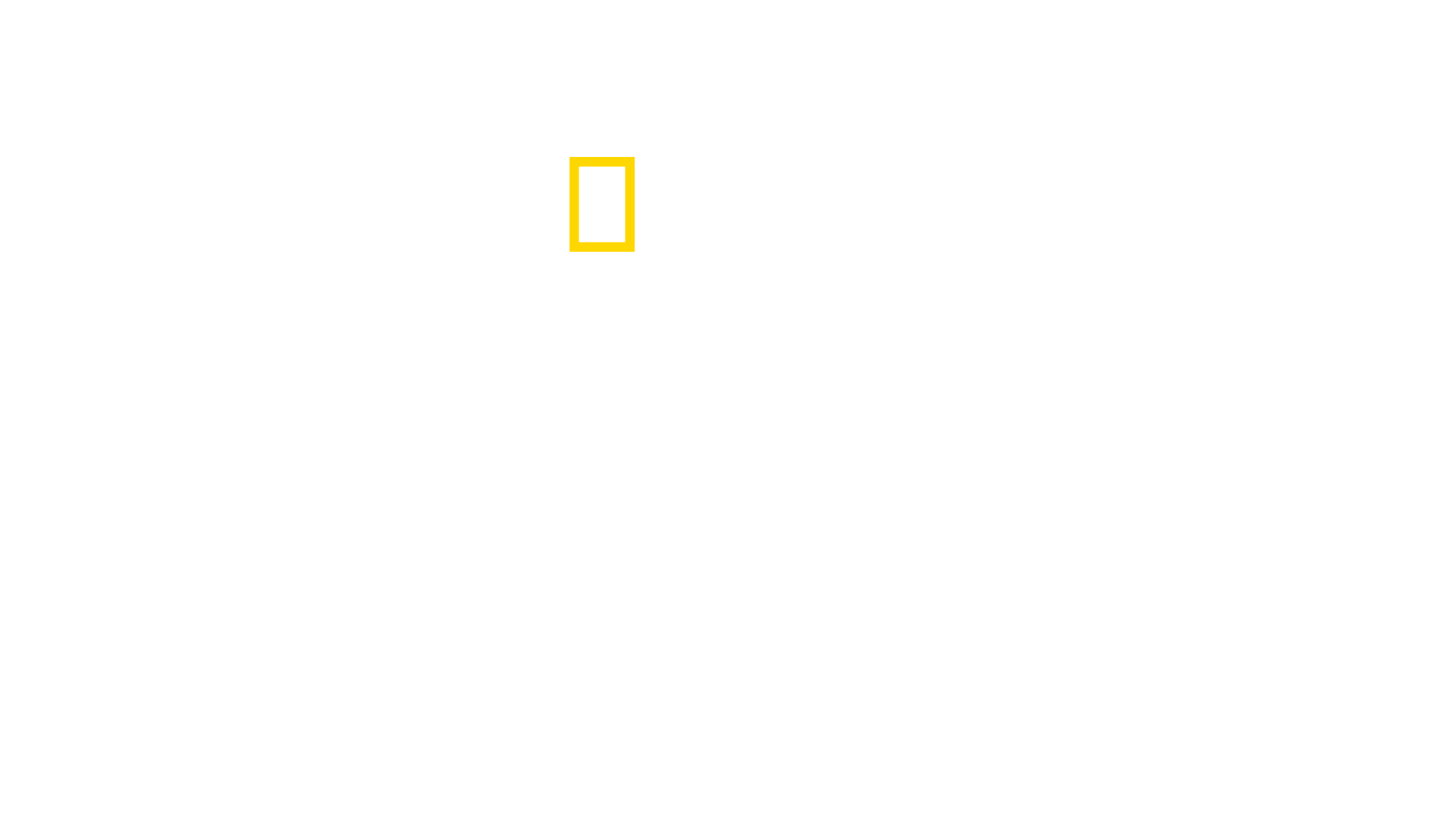 Continent 7: Antarctica