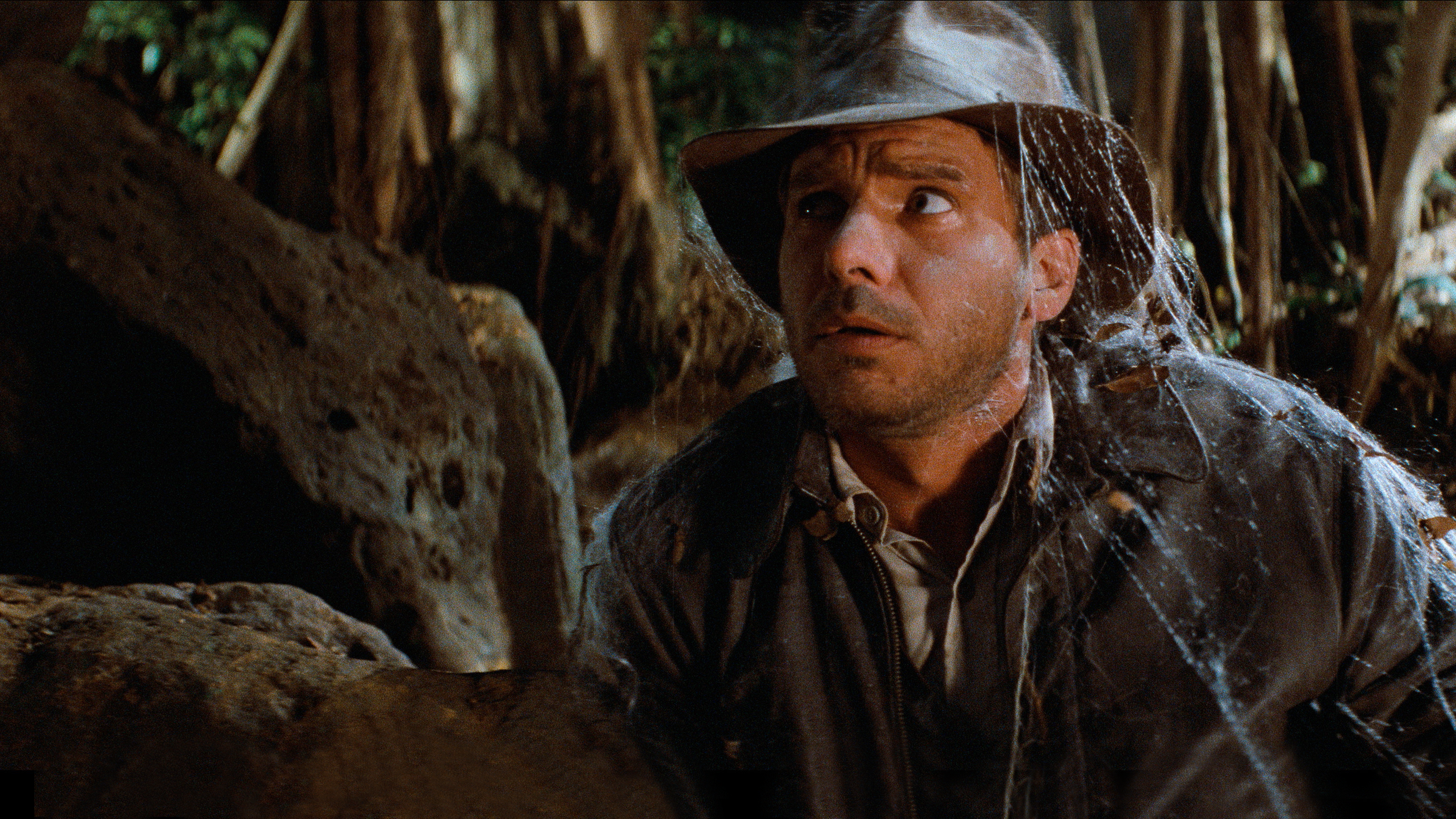 Indiana Jones and the Raiders of the Lost Ark