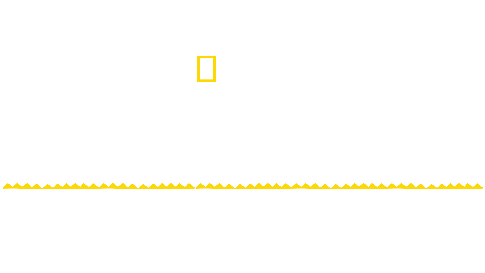 Lost Cities with Albert Lin: Megacity of the Maya Warrior King