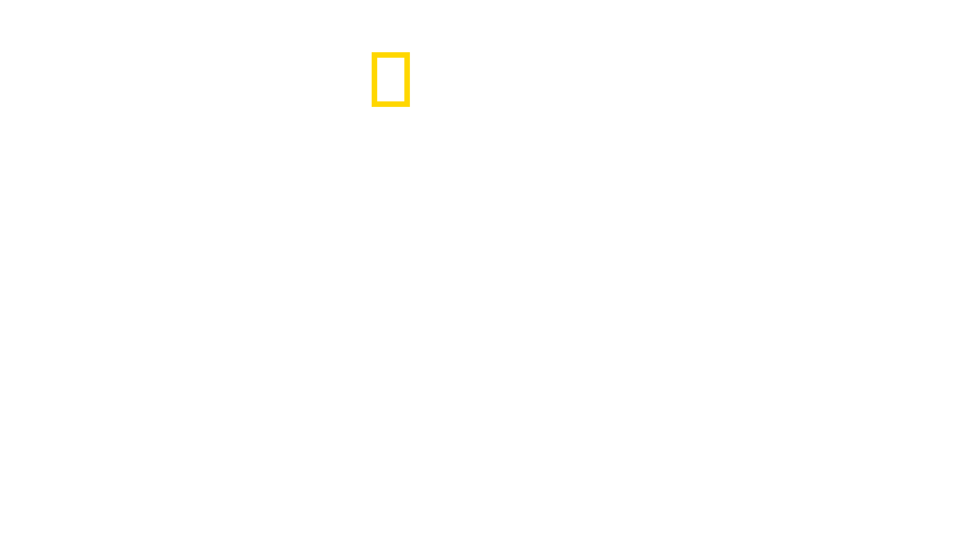 Dr. K's Exotic Animal ER