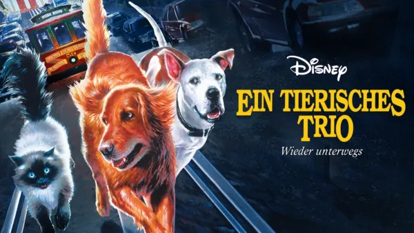 thumbnail - Ein tierisches Trio - Wieder unterwegs