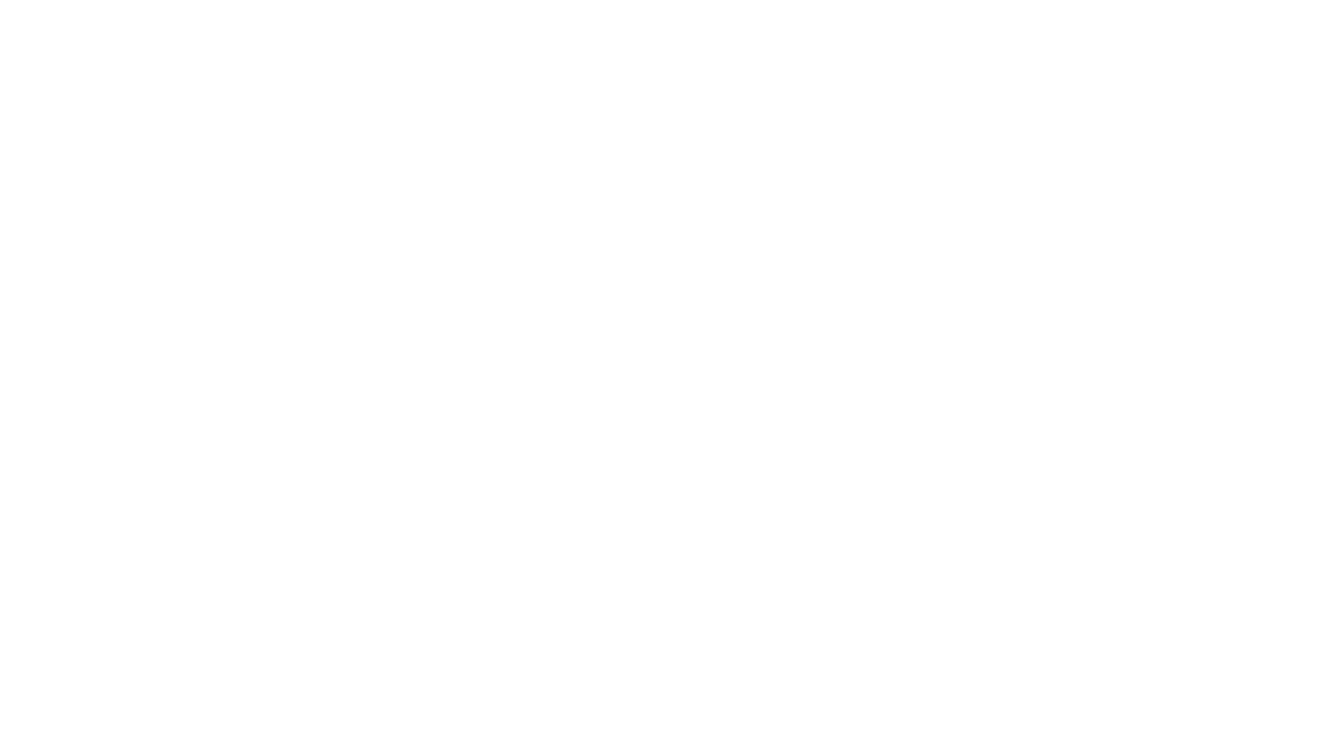 The Beach Boys