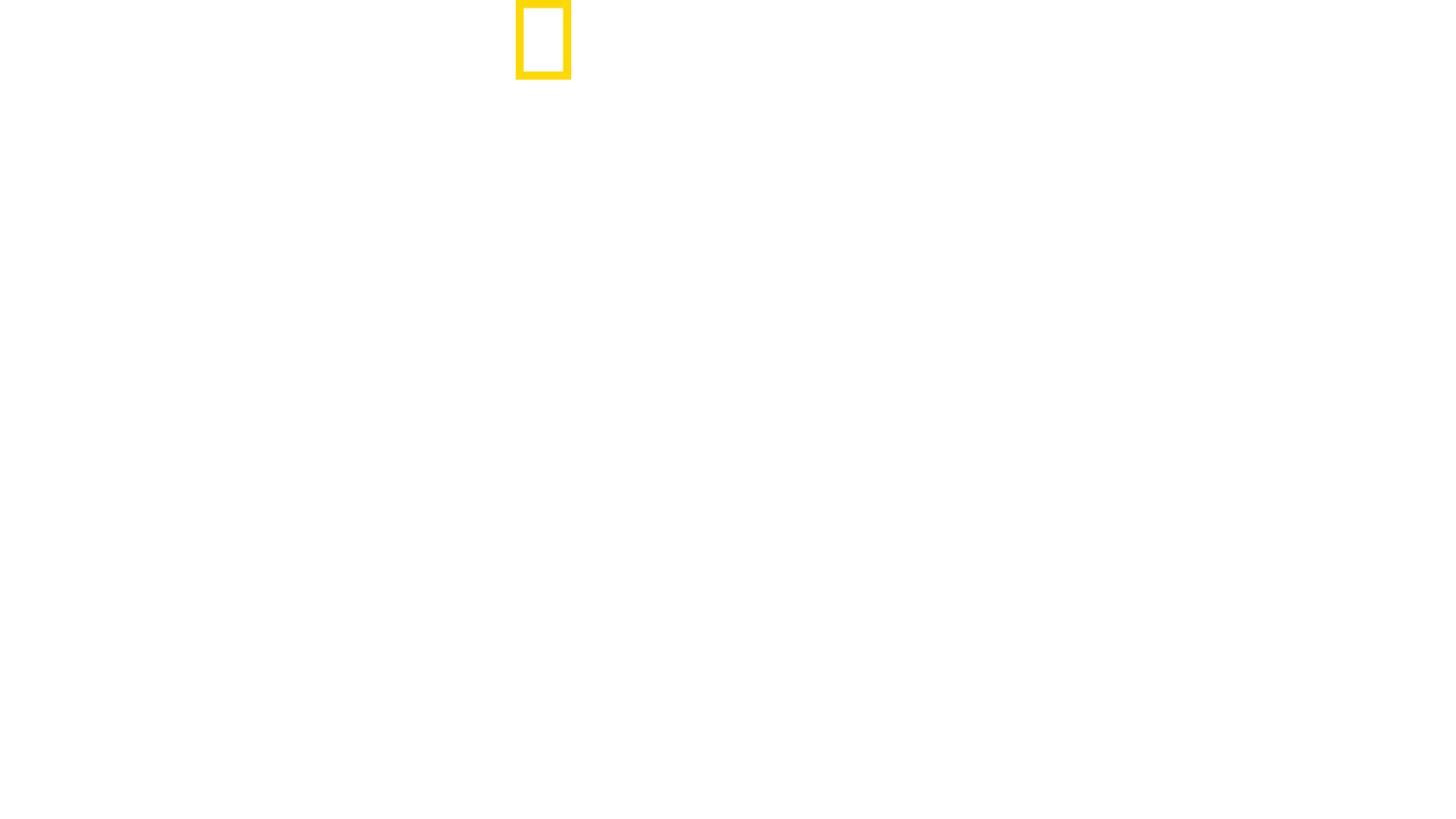 Lost Tombs of The Pyramids