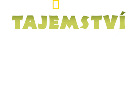 Tajemství indické divočiny