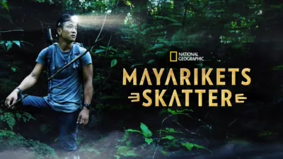 Mayarikets skatter