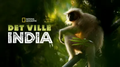 thumbnail - Det ville India