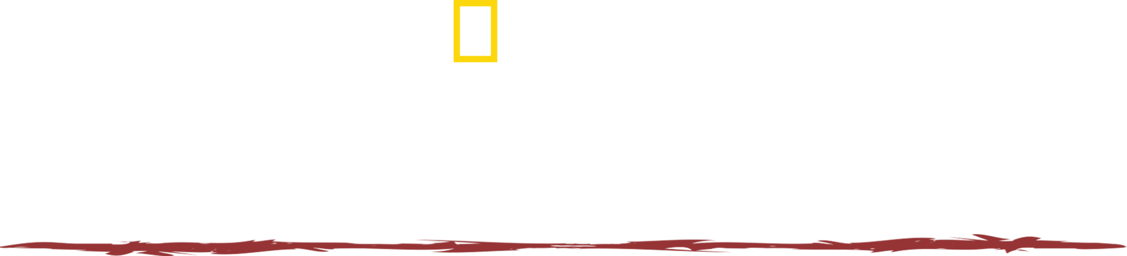 Supraviețuitorul