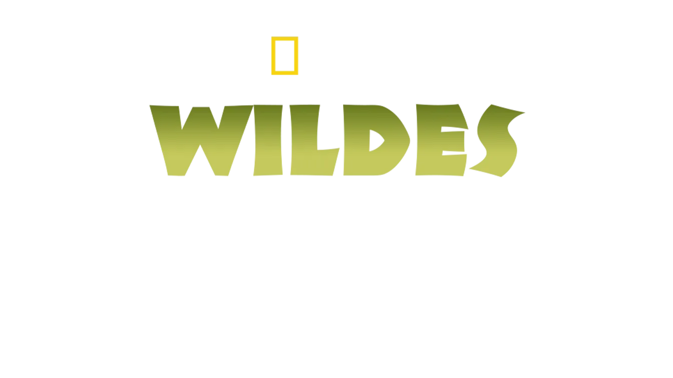 Wildes Indien