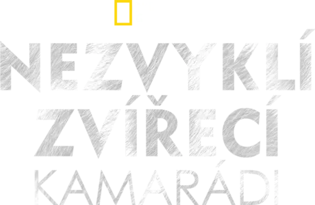 Nezvyklí zvířecí kamarádi