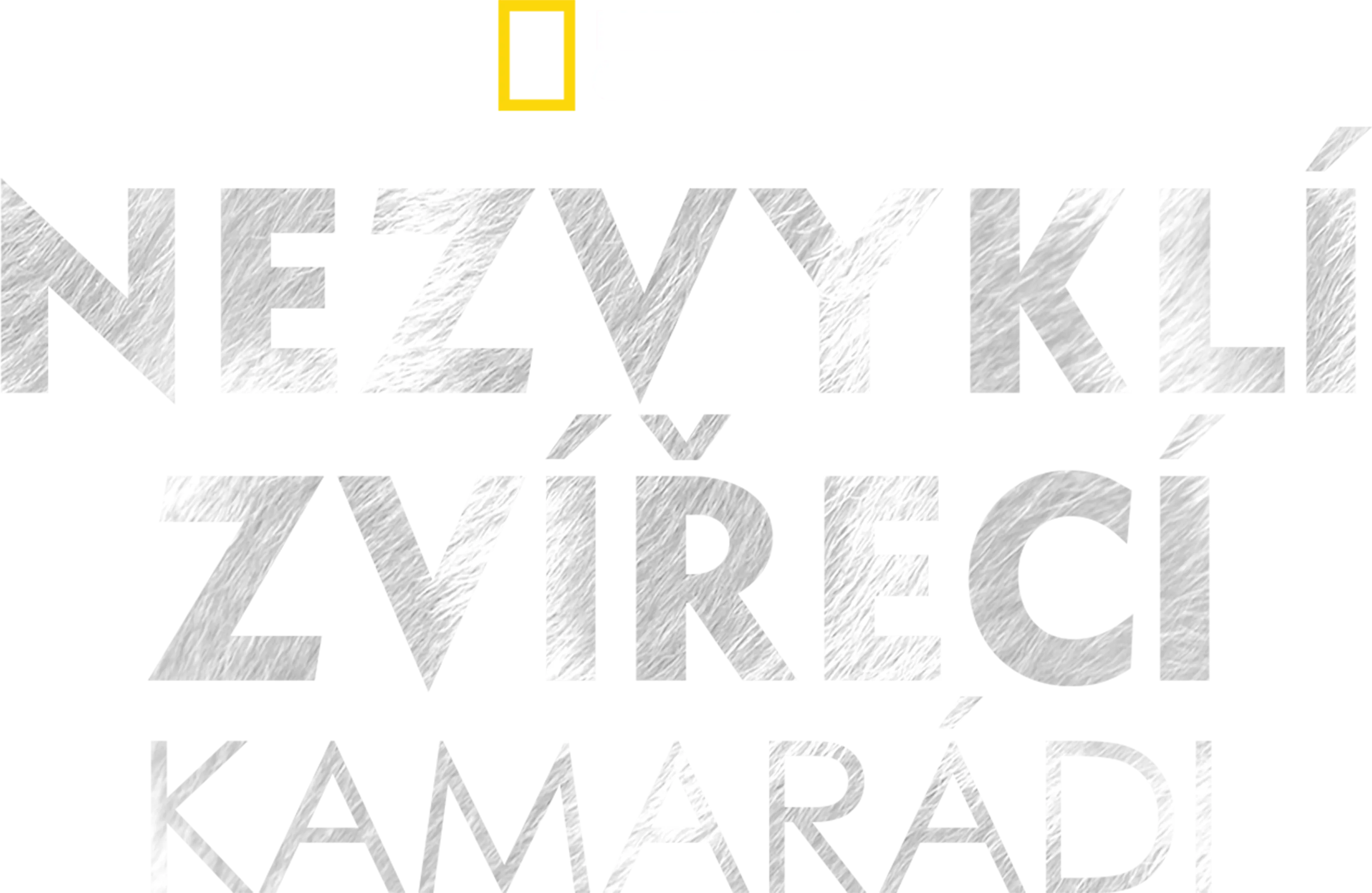 Nezvyklí zvířecí kamarádi