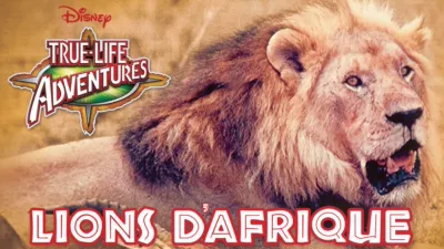 Lions d’Afrique