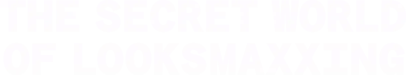 The Secret World of Looksmaxxing