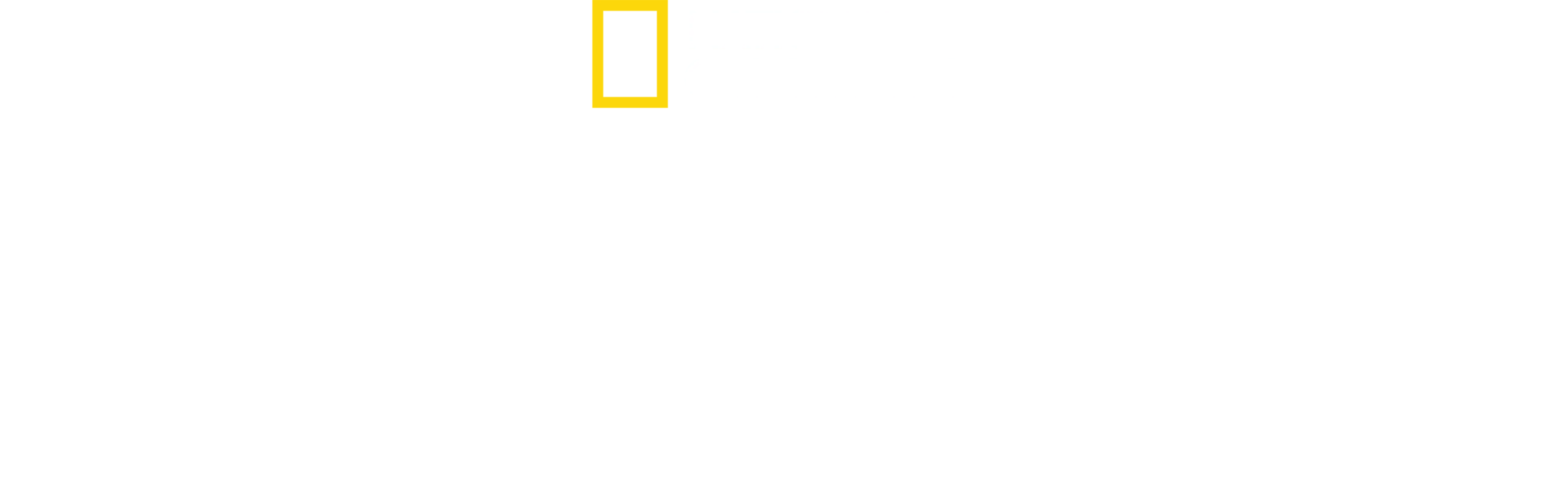 Haiangrep: Paige Winters historie