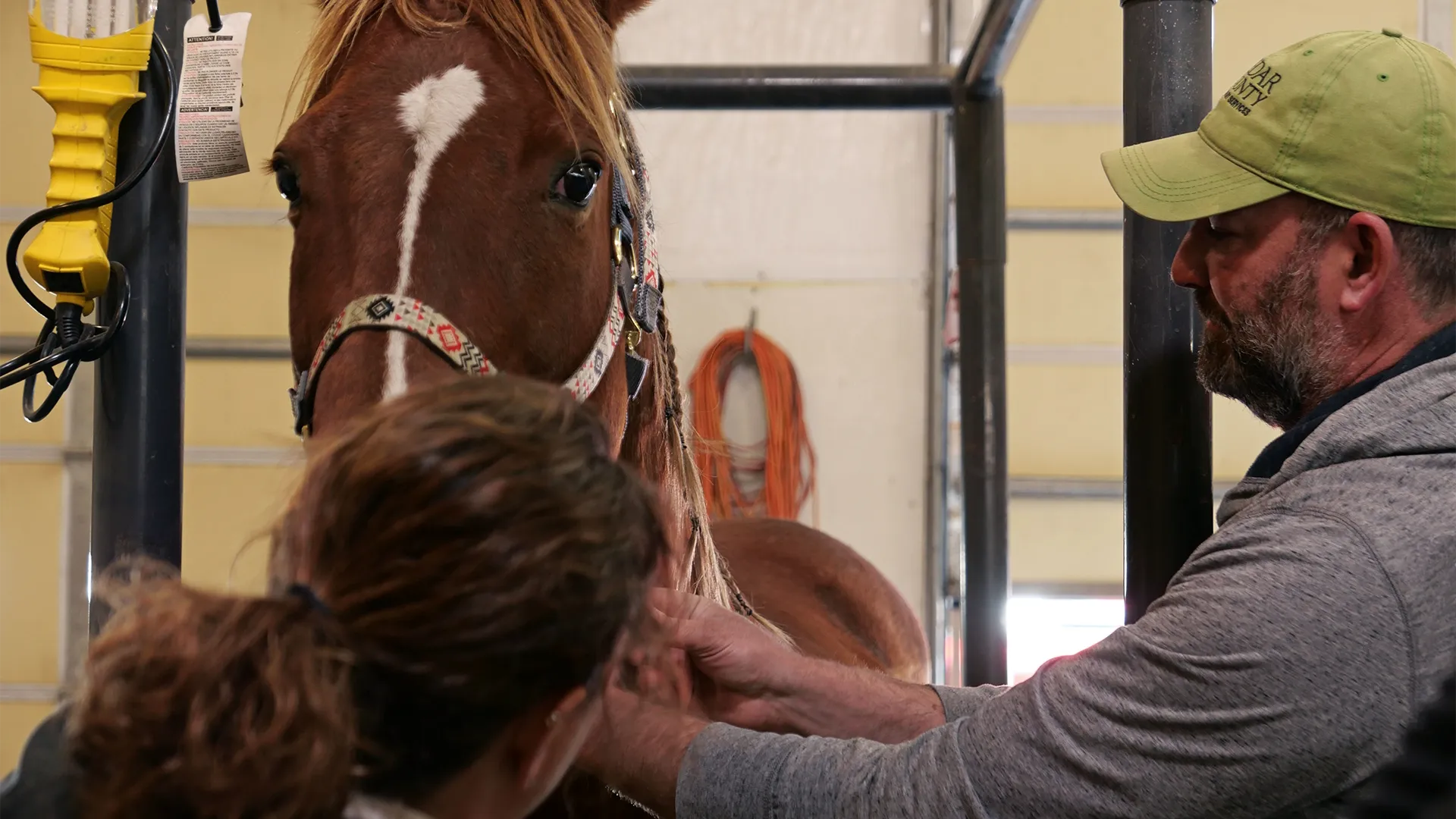 thumbnail - S4:E5 Foal New World