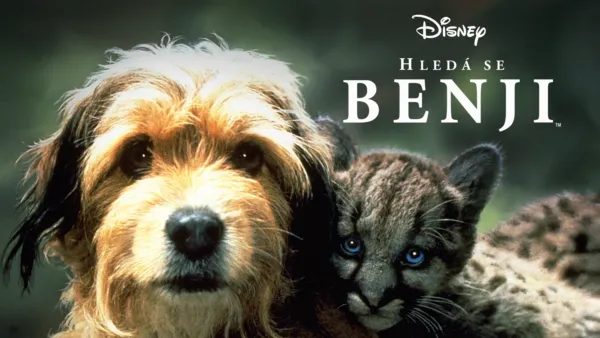 thumbnail - Hledá se Benji