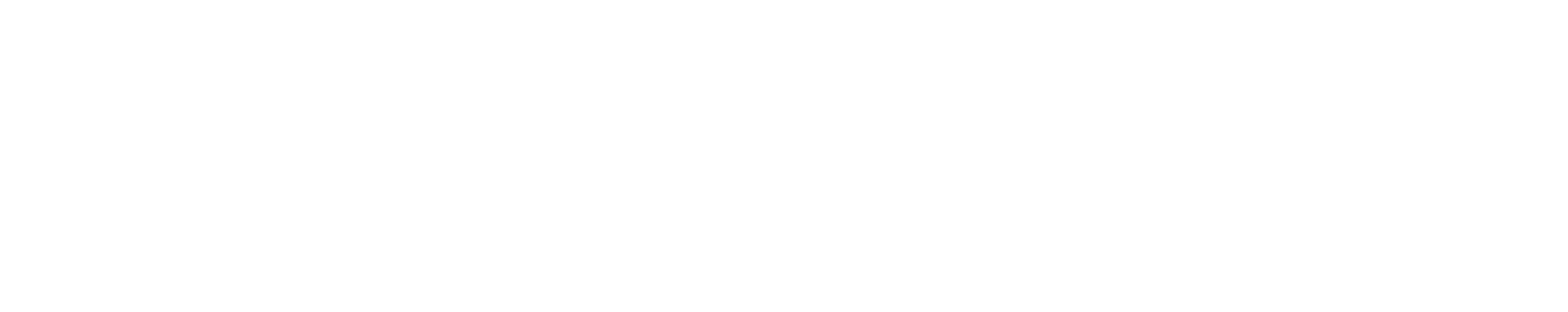 リトル・ファイアー～彼女たちの秘密