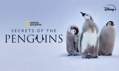 Secrets of the Penguin
