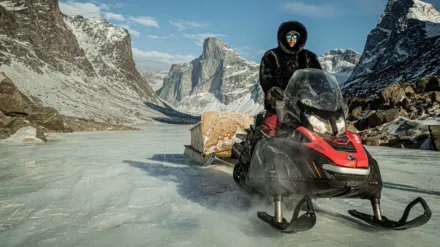 Operation Arctic Cure