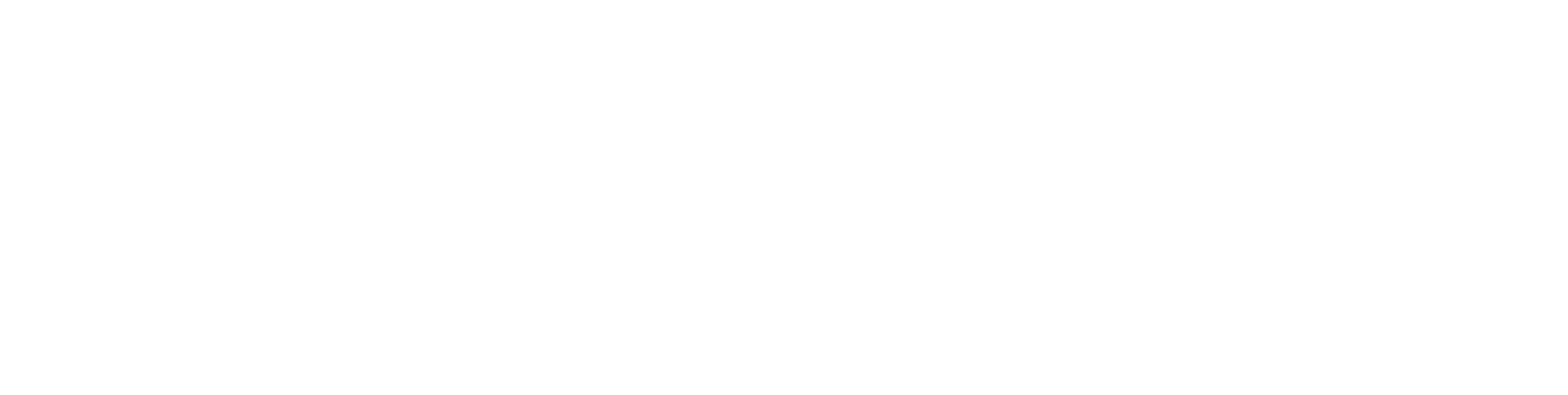 Eine riskante Entscheidung