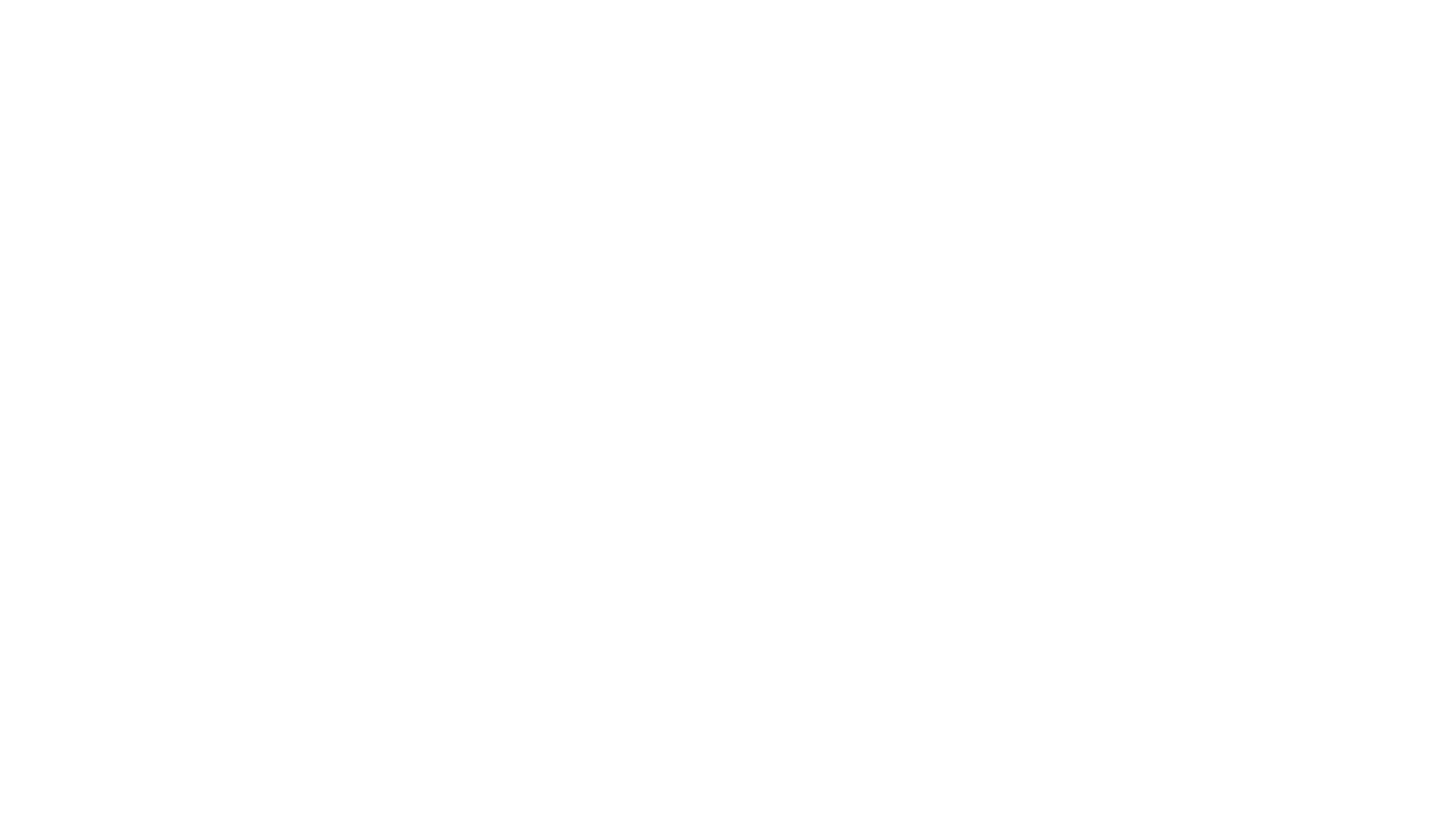 O Vôo da Fênix