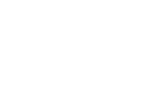 O Vôo da Fênix
