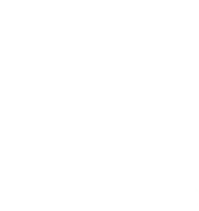 A Tale of Two Critters