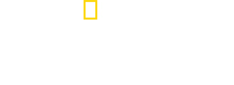 Salvarea