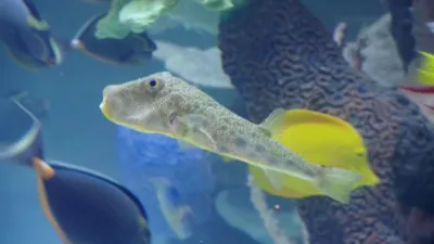 thumbnail - S4:E6 A Guiding Light to Fitness