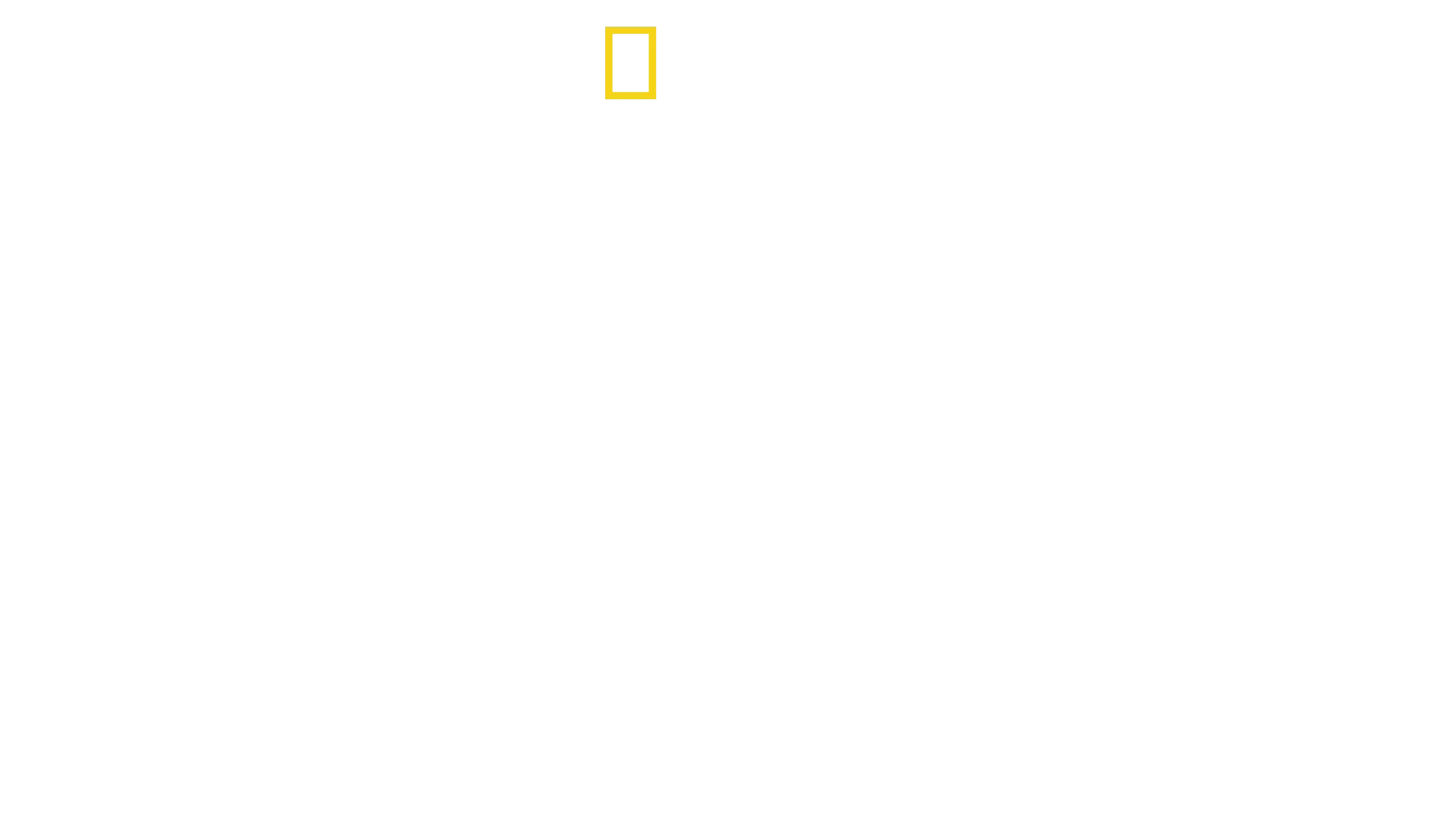 Las Líneas de Nasca