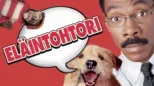 thumbnail - Eläintohtori