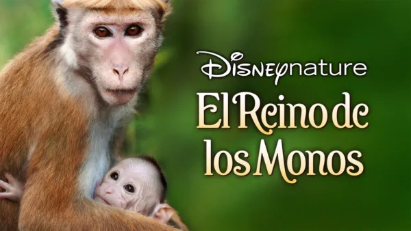 thumbnail - El reino de los monos
