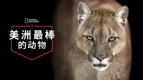 thumbnail - 美洲最棒的动物