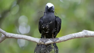 thumbnail - S1:E6 Extreme