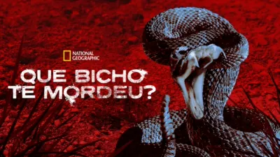 Que Bicho te Mordeu?