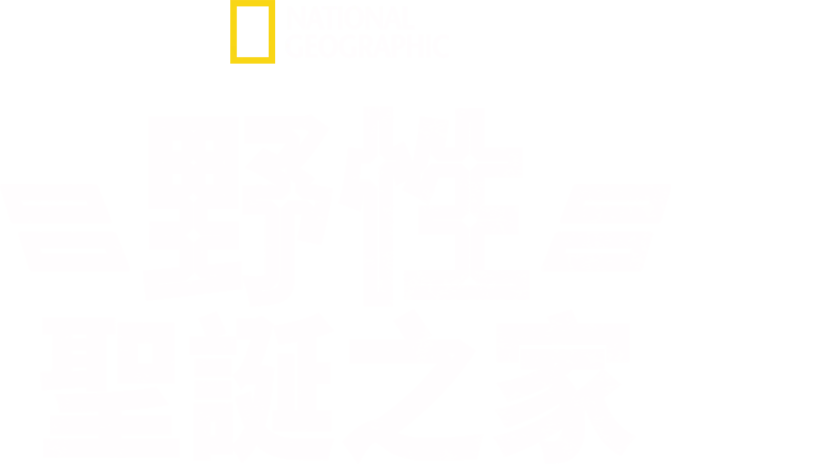 野性聖誕之家