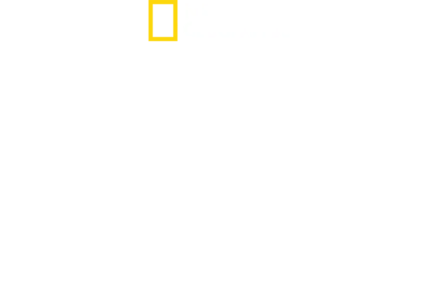 野性聖誕之家