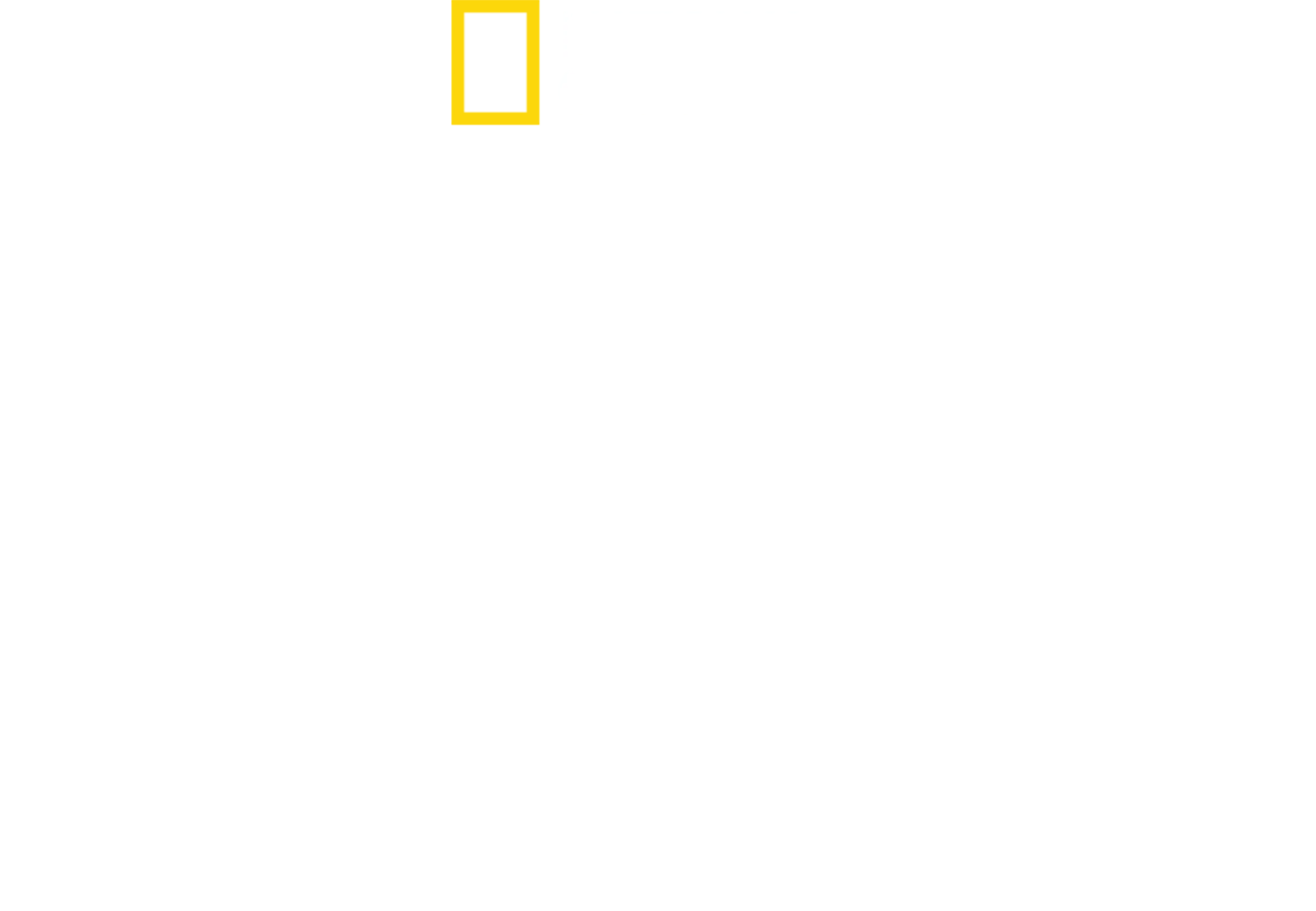 野性聖誕之家