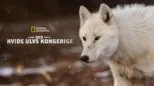 thumbnail - Den hvide ulvs kongerige