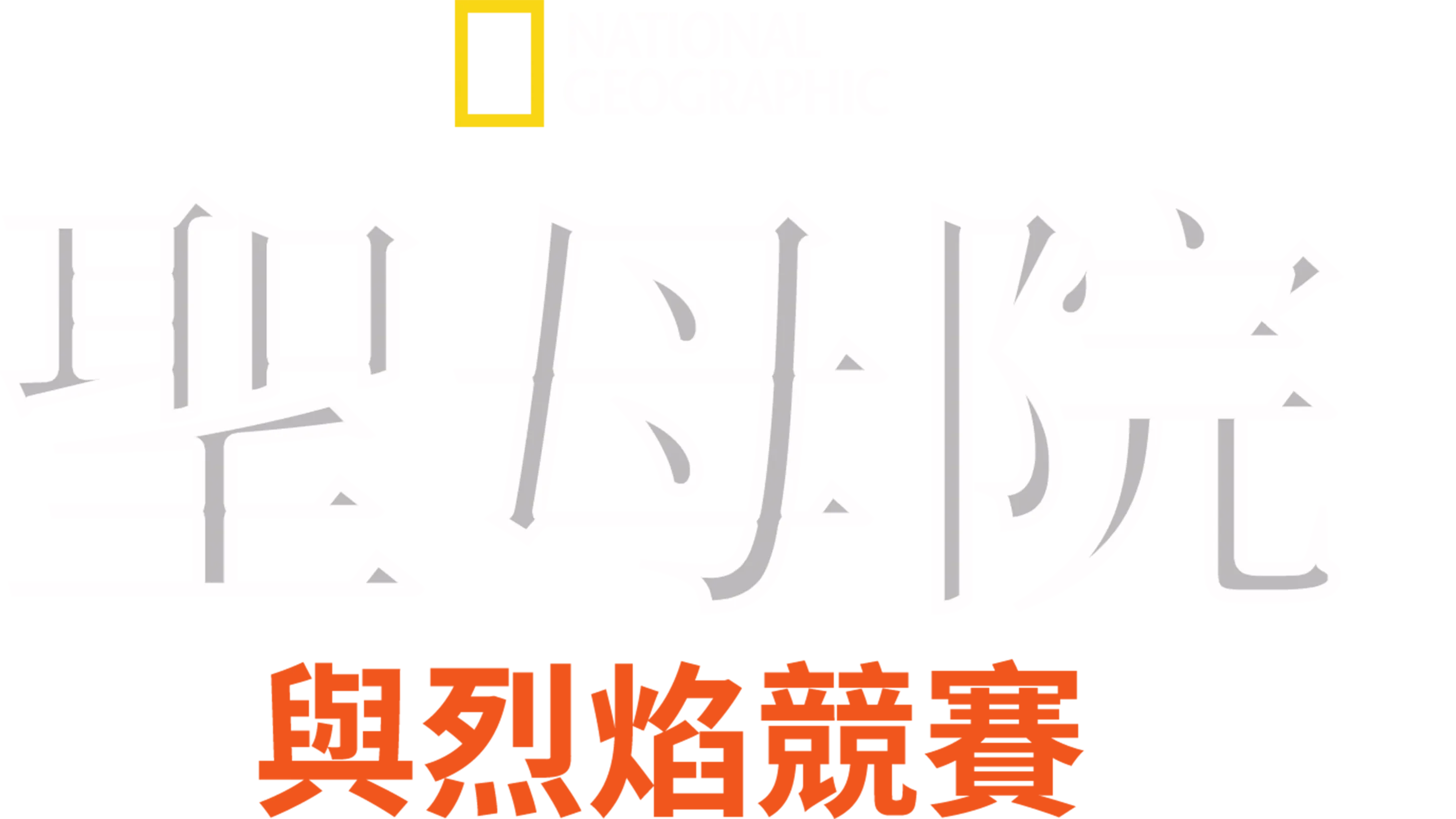 聖母院：與烈焰競賽