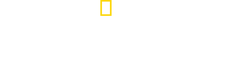 Istorii sângeroase