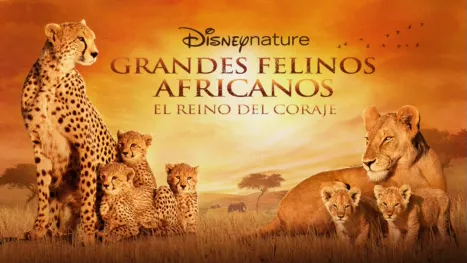 thumbnail - Grandes Felinos Africanos. El Reino del Coraje