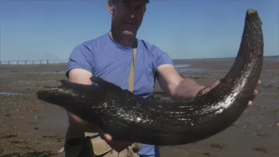 thumbnail - S4:E2 UFO Over the Andes, the Ohio Grassman, and Ancient Horn Mystery