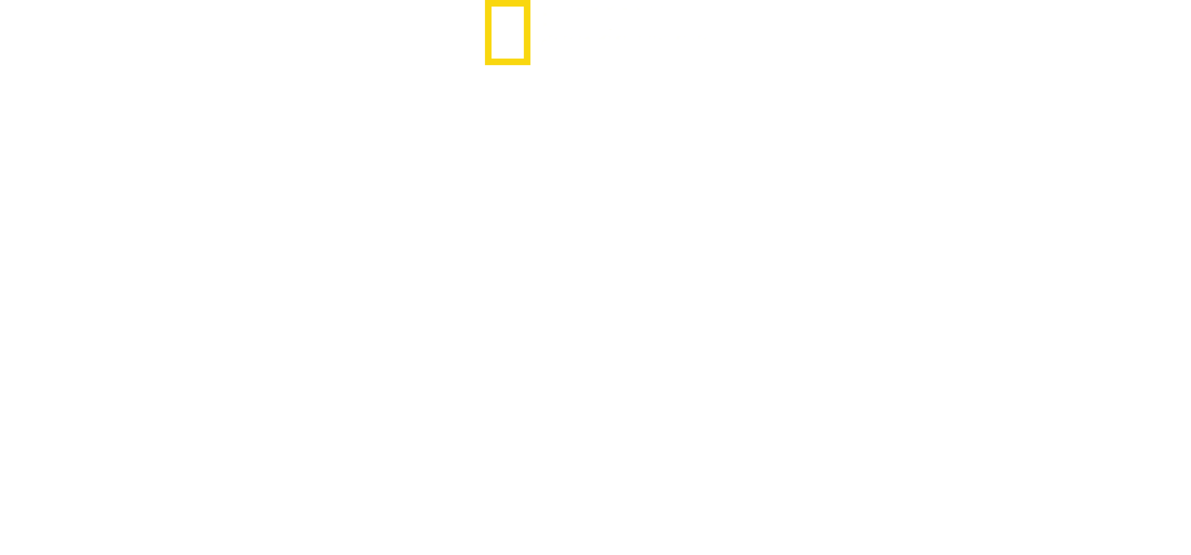 Sharks That Eat Everything