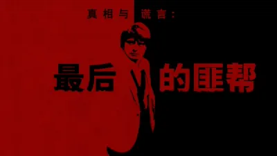 真相与谎言:最后的匪帮