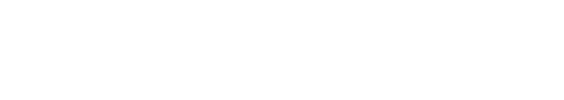 Max Payne